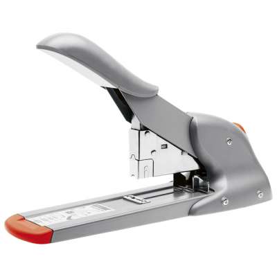 /000008100